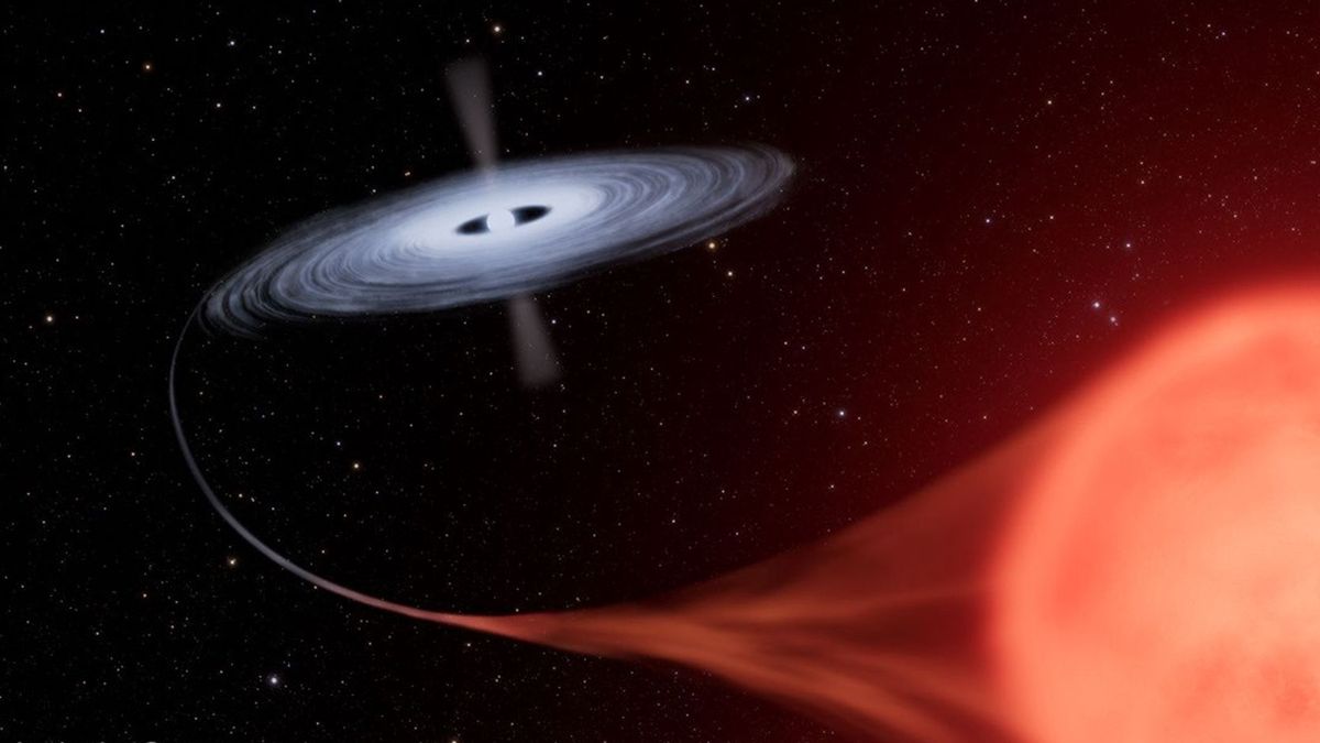 Nowa w układzie podwójnym V Sagittae