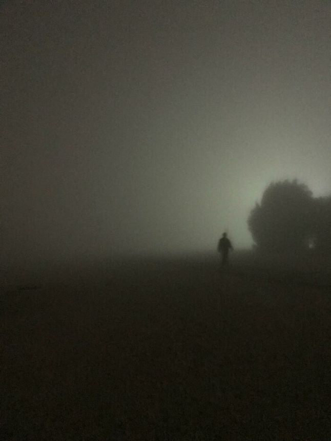 Poranne zdjęcie we mgle.