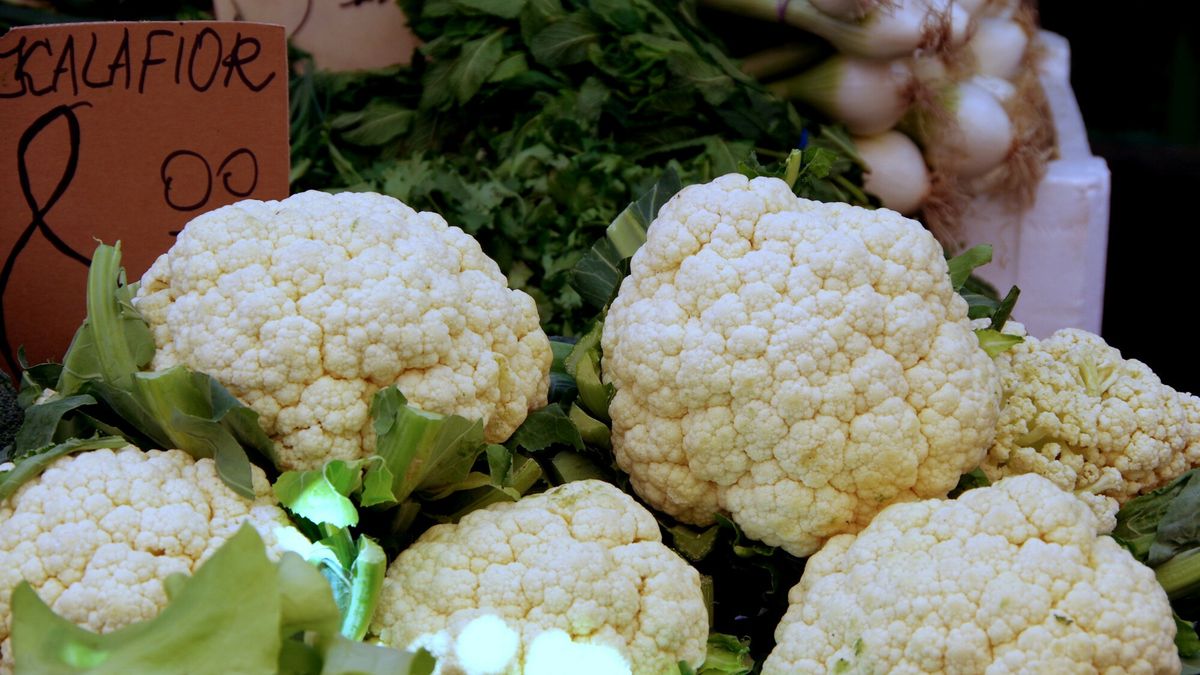 Producenci kalafiorów i brokułów liczą straty po upalnym wrześniu