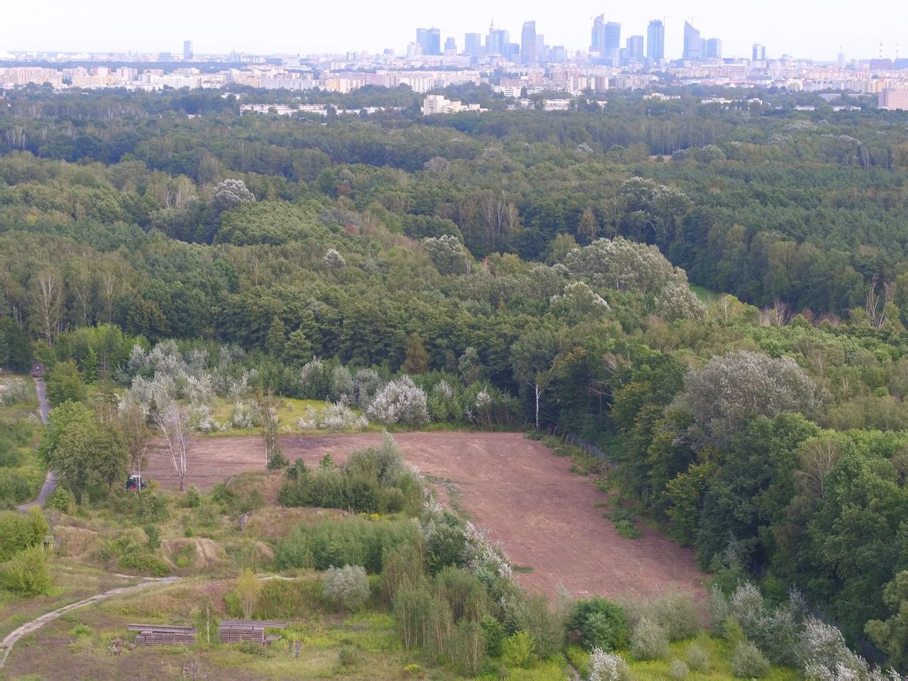 Warszawa. Trwa śledztwo ws. budowy przy rezerwacie Łosiowe Błota. Czekają na opinię biegłego