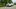 Nissan Qashqai z nowym dieslem 1.7 dCi. Silnik jest rewelacyjny