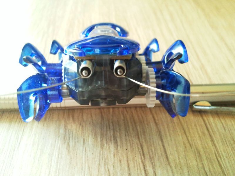 Trzy roborobale HEXBUG - test i konkurs Gadżetomanii [wideo] 4