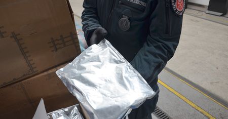 KAS wykryła pół tony nielegalnych środków ochrony roślin w dostawczaku