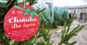 Głogów: Oddaj krew i odbierz świąteczne drzewko od leśników