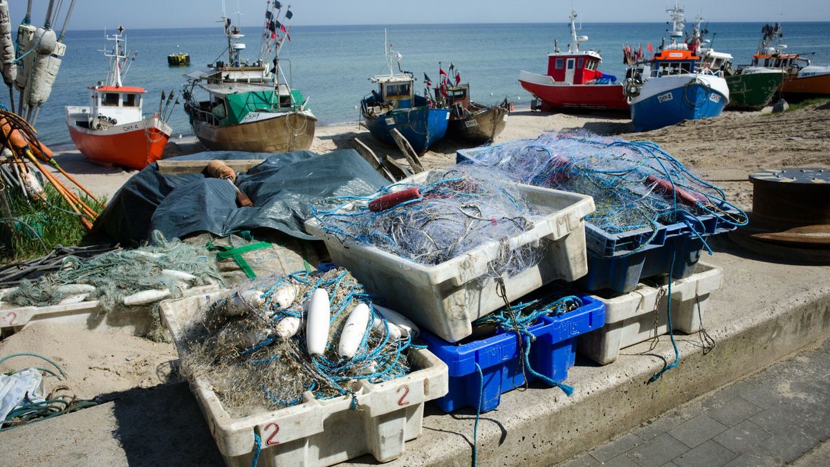 KE chce jeszcze większych ograniczeń połowów na Bałtyku