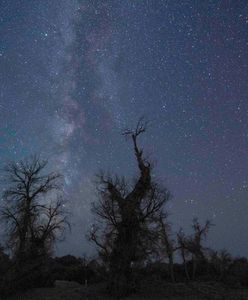 Perseidy 2021. Noc spadających gwiazd przed nami. Jak, gdzie i kiedy oglądać perseidy?