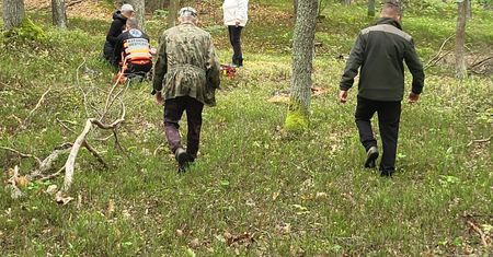 Grzybiarze zablokowali karetkę. Leśnicy apelują do ludzi