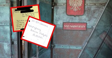 SN pokazuje protesty wyborcze. Członek PKW oburzony