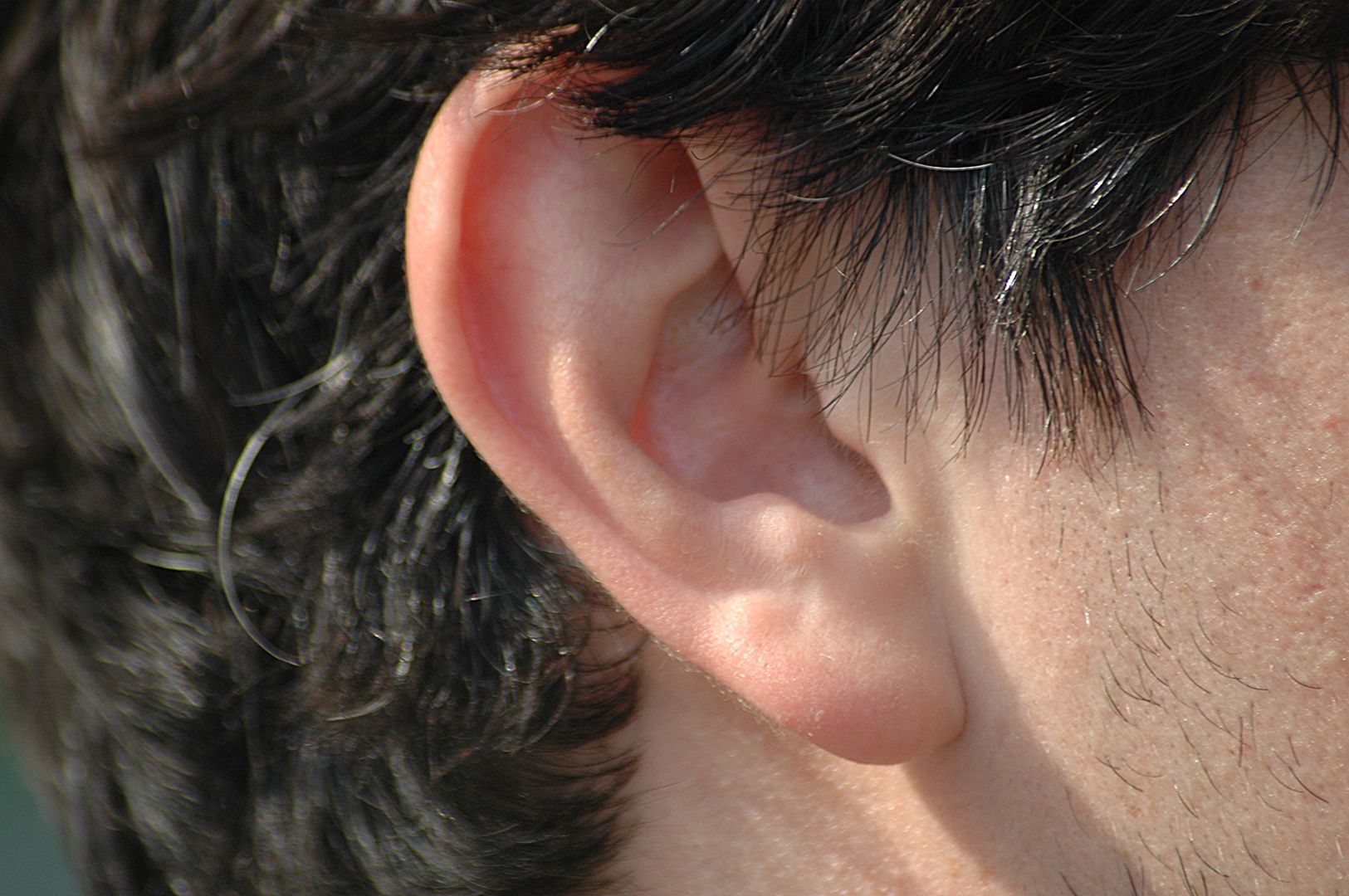 Znak Franka na uchu. Ostrzega o miażdżycy i zbliżającym się zawale