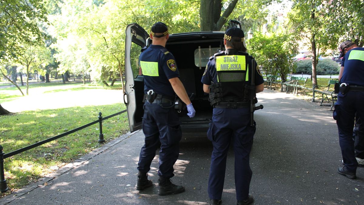 Zdjęcie ilustracyjne. 