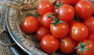 Sezon na pomidory. Pięć pomysłów na pyszne dania z pomidorami