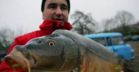 Karp ma być uśmiercony a nie zabity. Sami sobie chcemy humor poprawić?