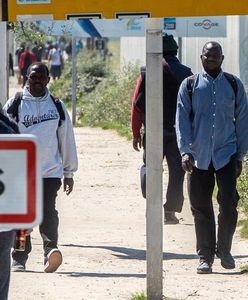 Wielka Brytania potwierdza rozpoczęcie budowy muru w Calais