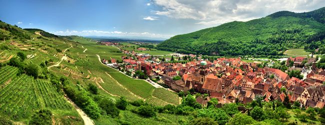 Alzacja - najmniejszy i najpiękniejszy region Francji