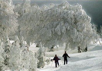 Nadchodzą mrozy