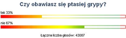 Internauci nie obawiają się ptasiej grypy