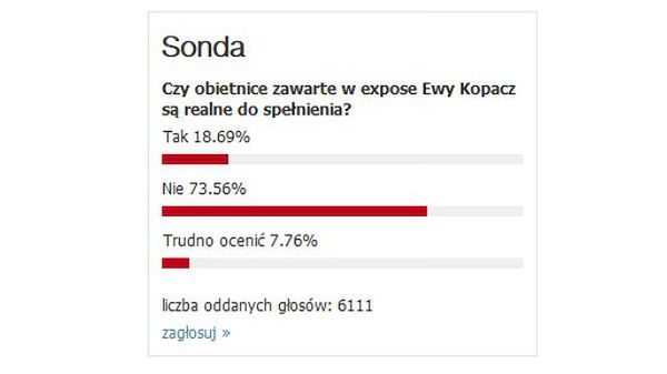 Tak głosowali internauci w ankiecie WP.PL