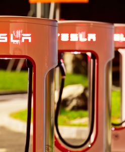 Konkurenci Narodowego Samochodu Elektrycznego