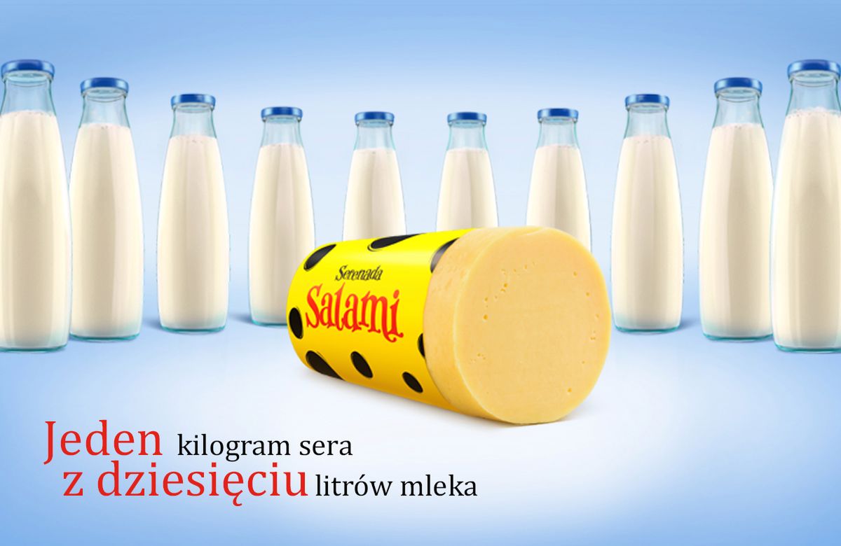 10 litrów mleka na 1 kilogram sera, czyli skąd bierze się mleko w serze?