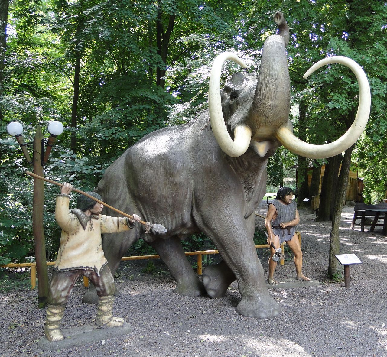 Kraków. Ludzie polowali na mamuty. Archeolodzy znaleźli dowód