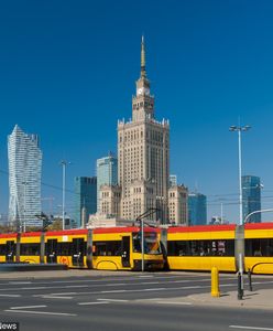 Plaga komarów. "Pasażerowie tramwaju próbowali uciekać w panice"