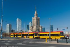 Plaga komarów. "Pasażerowie tramwaju próbowali uciekać w panice"