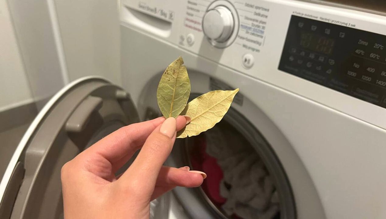 Do prania wkładam dwa liście laurowe. Ten trik oszczędza mi sporo czasu i nerwów