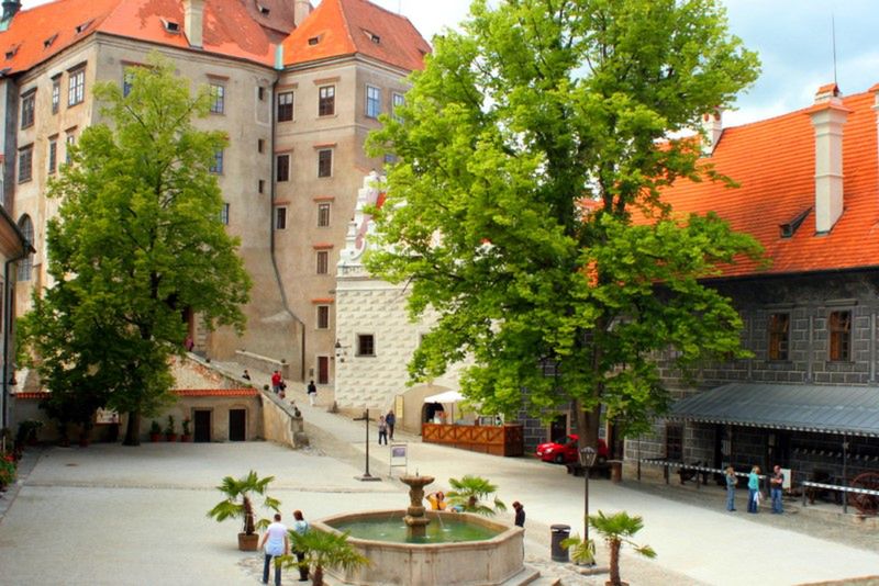 Obraz