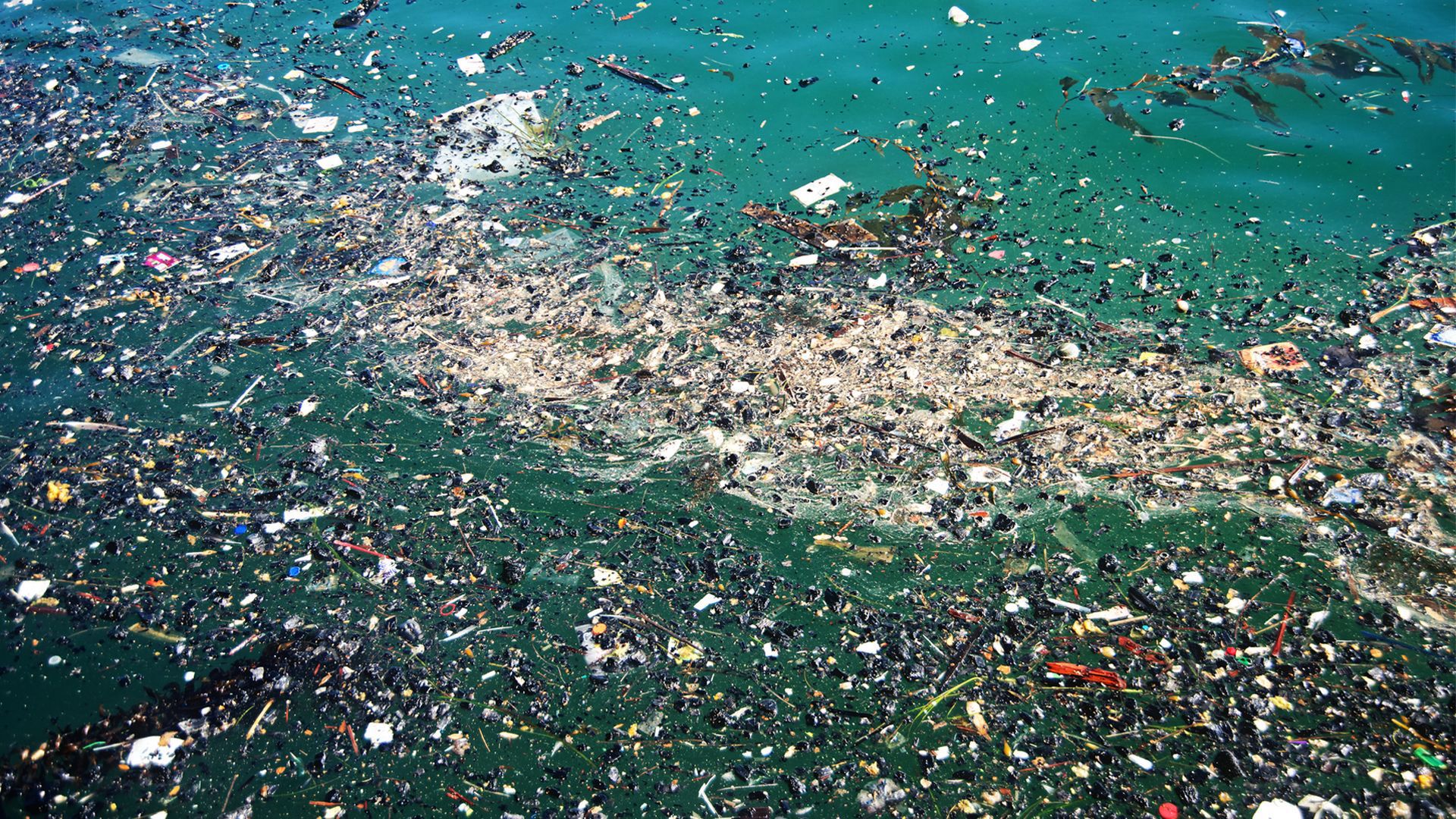 Trash Isles - tak miałoby się nazywać państwo utworzone na terenie Wielkiej Pacyficznej Plamie Śmieci