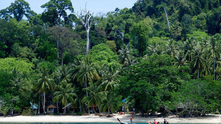 Koronawirus. Pojawiają się obawy, że Covid-19 doprowadzi do wyginięcia tubylców