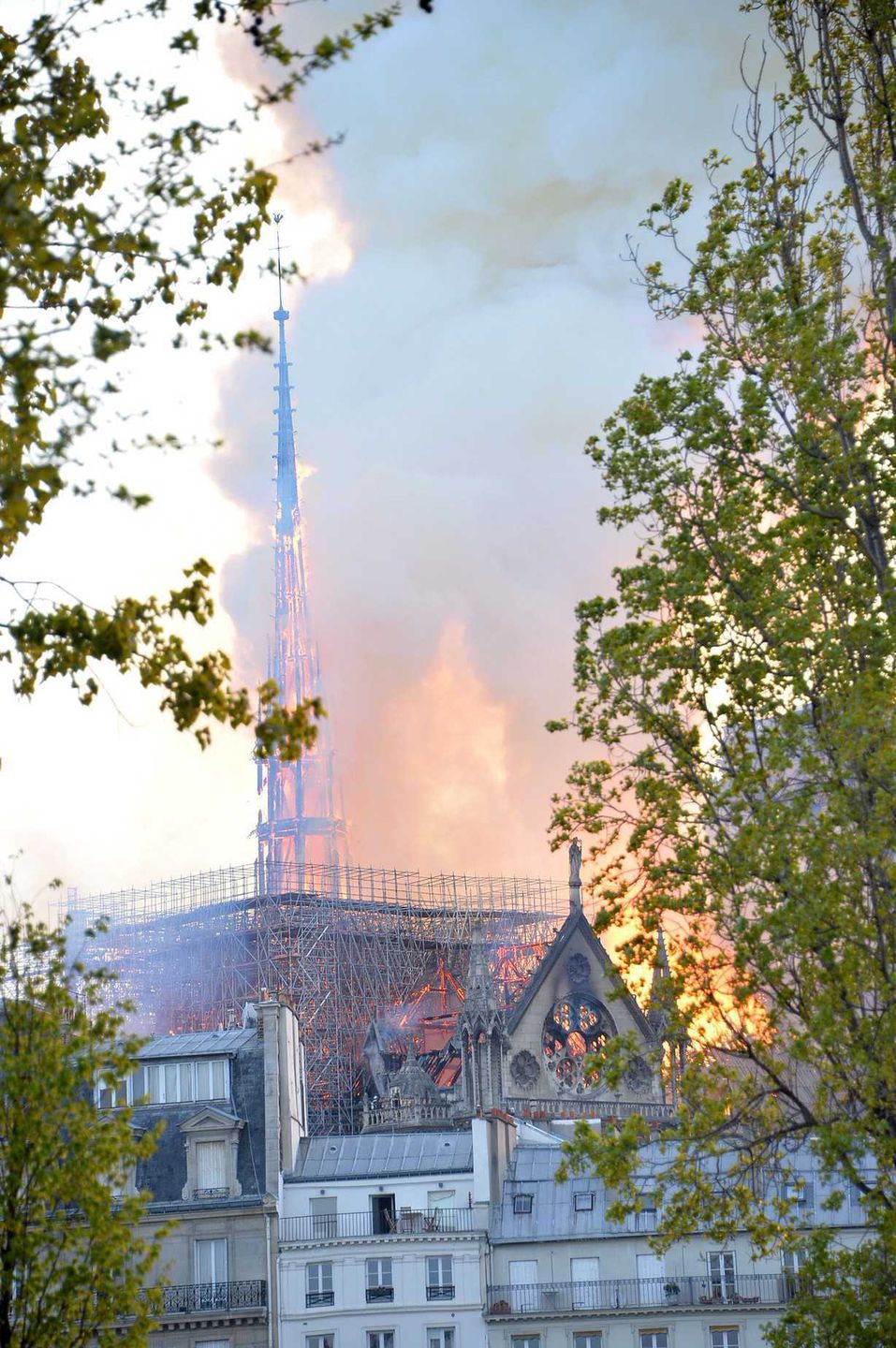 Czy ktoś podpalił katedrę Notre Dame?