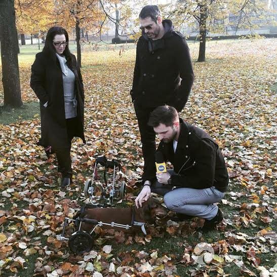 Paweł Deląg w Dzień Dobry TVN opowiada o swoim psie