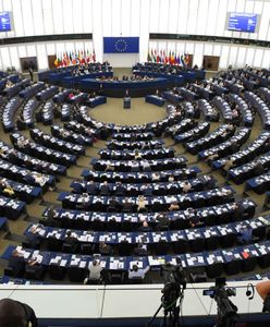 PE przyjął rezolucję ws. zakazu działalności grup neofaszystowskich. Autorką Róża Thun