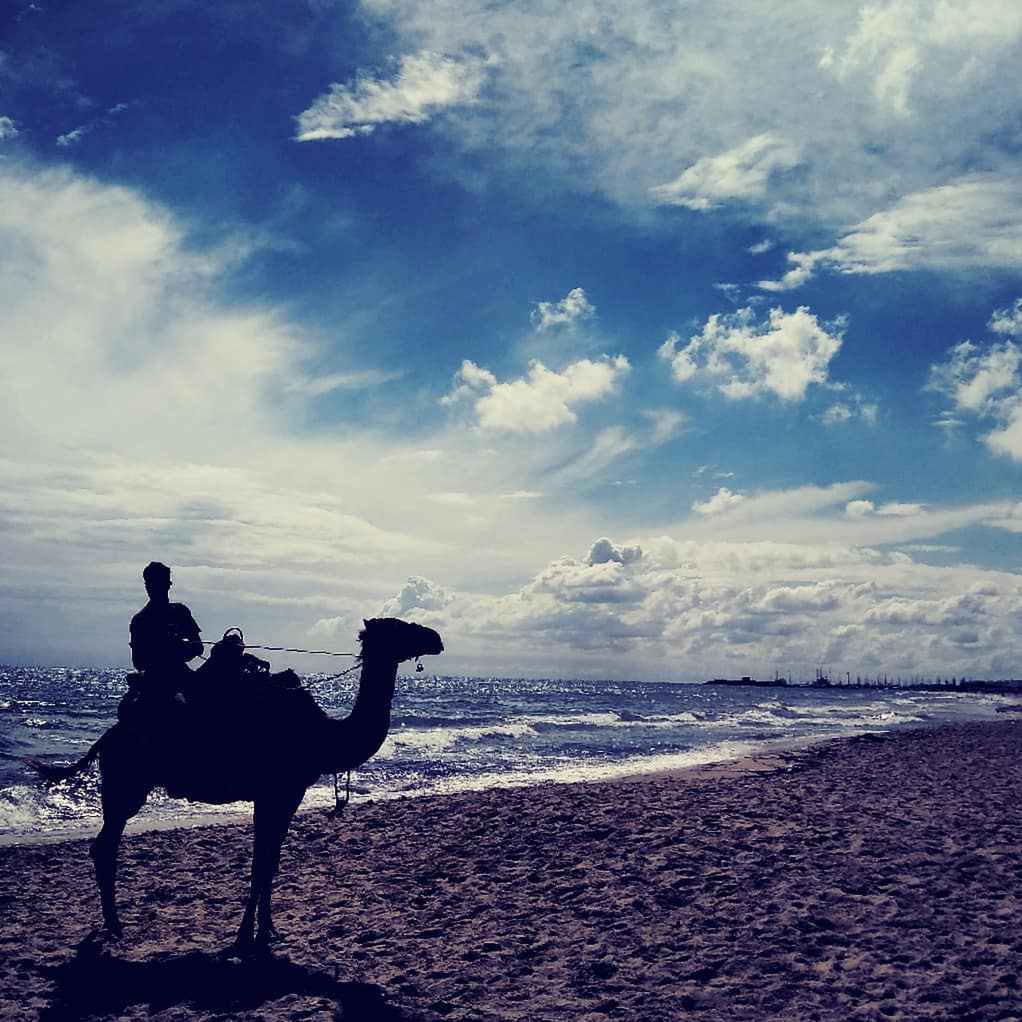 Hammamet w Tunezji dysponuje długimi, piaszczystymi plażami 
