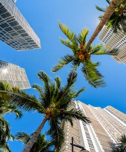 "Bunkier miliarderów". Iglesias sprzedaje najdroższy kawałek ziemi w Miami