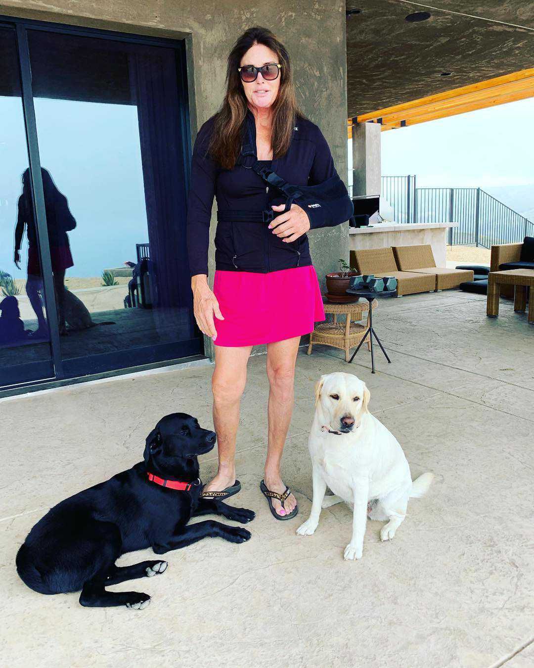 Caitlyn Jenner z psami