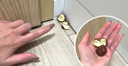 Połóż otwarty kasztan za drzwiami. Natychmiast pozbędziesz się ohydnego problemu