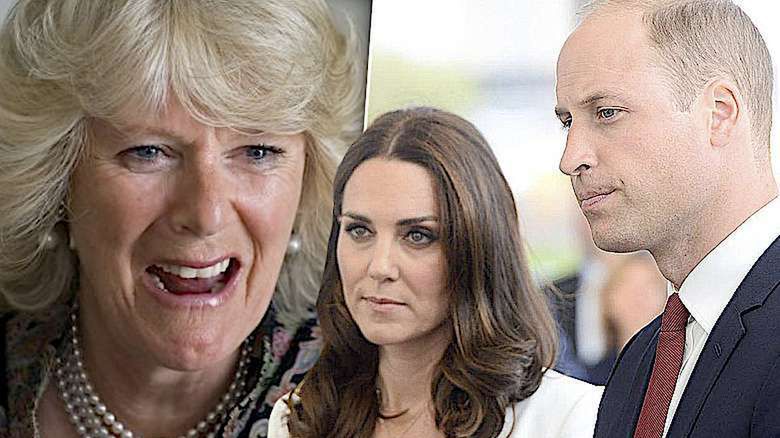Księżna Camilla, Kate i William