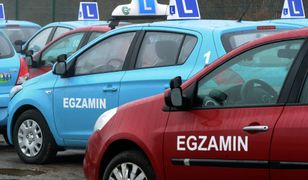 Zdawał na prawo jazdy 118 razy. Nowy rekord Polski