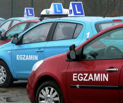 Zdawał na prawo jazdy 118 razy. Nowy rekord Polski
