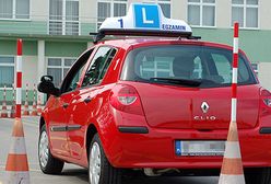 Przepisy kodeksu drogowego, które musisz znać. Bez tego nie powinieneś być kierowcą