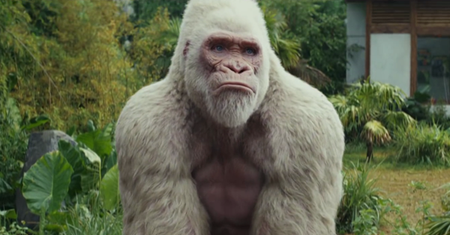 Rampage: Dzika furia