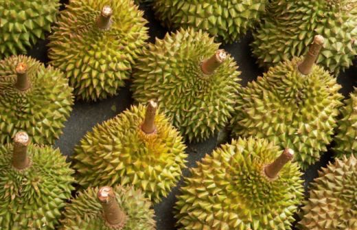Durian - najbardziej śmierdzący owoc świata