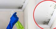 Naturalny sposób na pleśń w domu. Znika w zaledwie 20 minut bez trującej chemii
