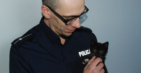 Dopadli mordercę kotów. Ostatni ze zwierzaków cudem się uratował