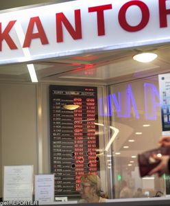 Złoty słabnie. Analitycy prognozują wzrosty kursów dolara, euro i franka