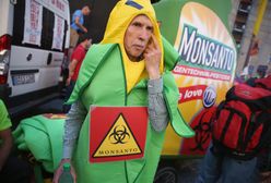Francja: skandal wokół Monsanto. Tym razem ochrona danych