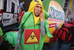 Francja: skandal wokół Monsanto. Tym razem ochrona danych
