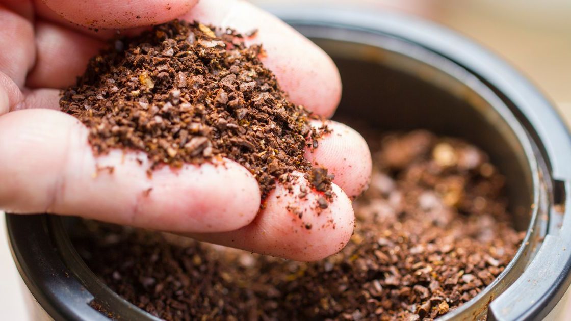 Fusy kawy- Pyszności, źródło: Canva