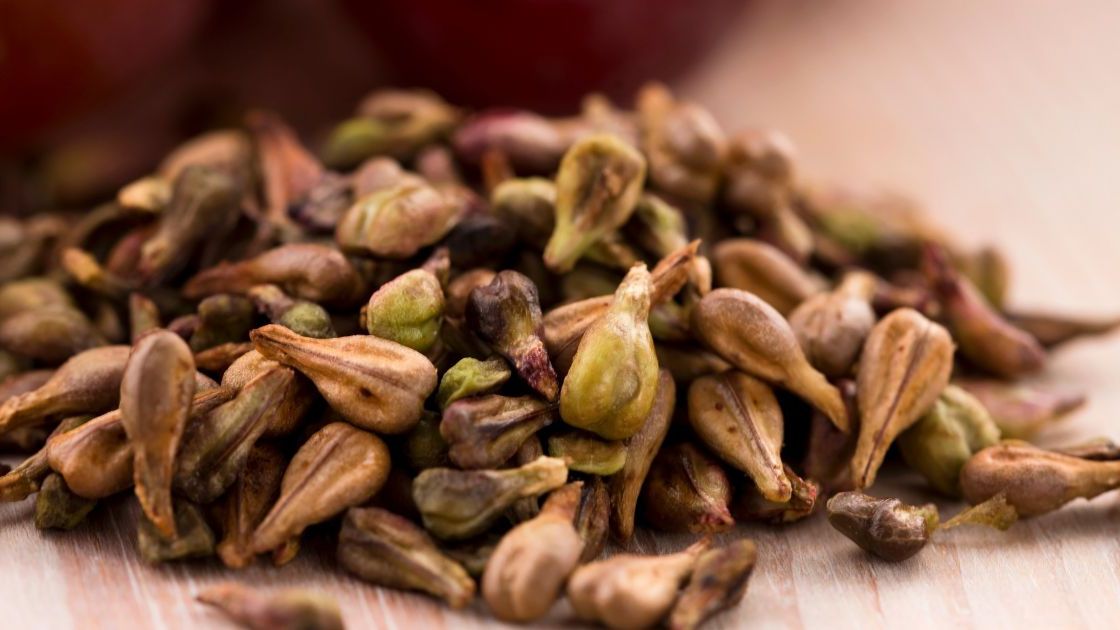 Pestki winogron- Pyszności, źródło Canva